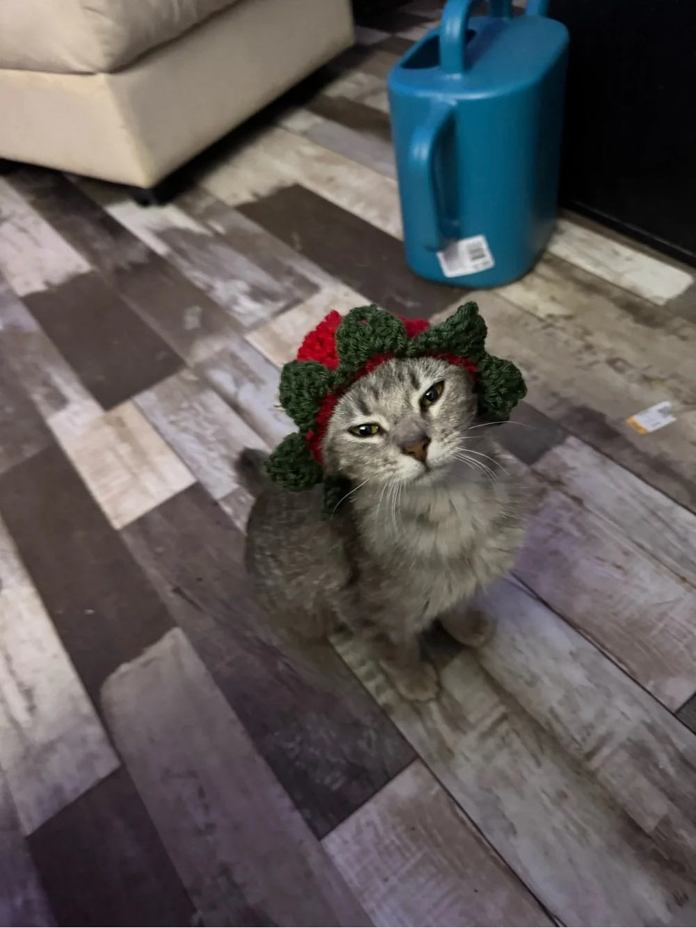 Strawberry Crochet Dog Hat - Pet Accessory